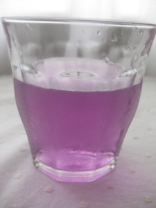 バタフライピー薄紫.JPG
